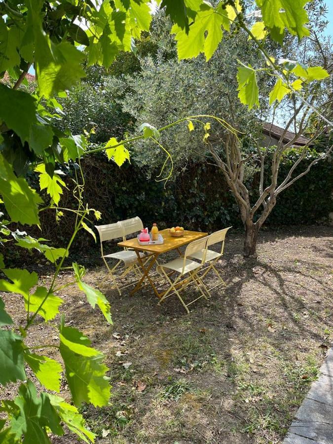 Maison De Charme Avec Jardin Carcassonne Exteriér fotografie